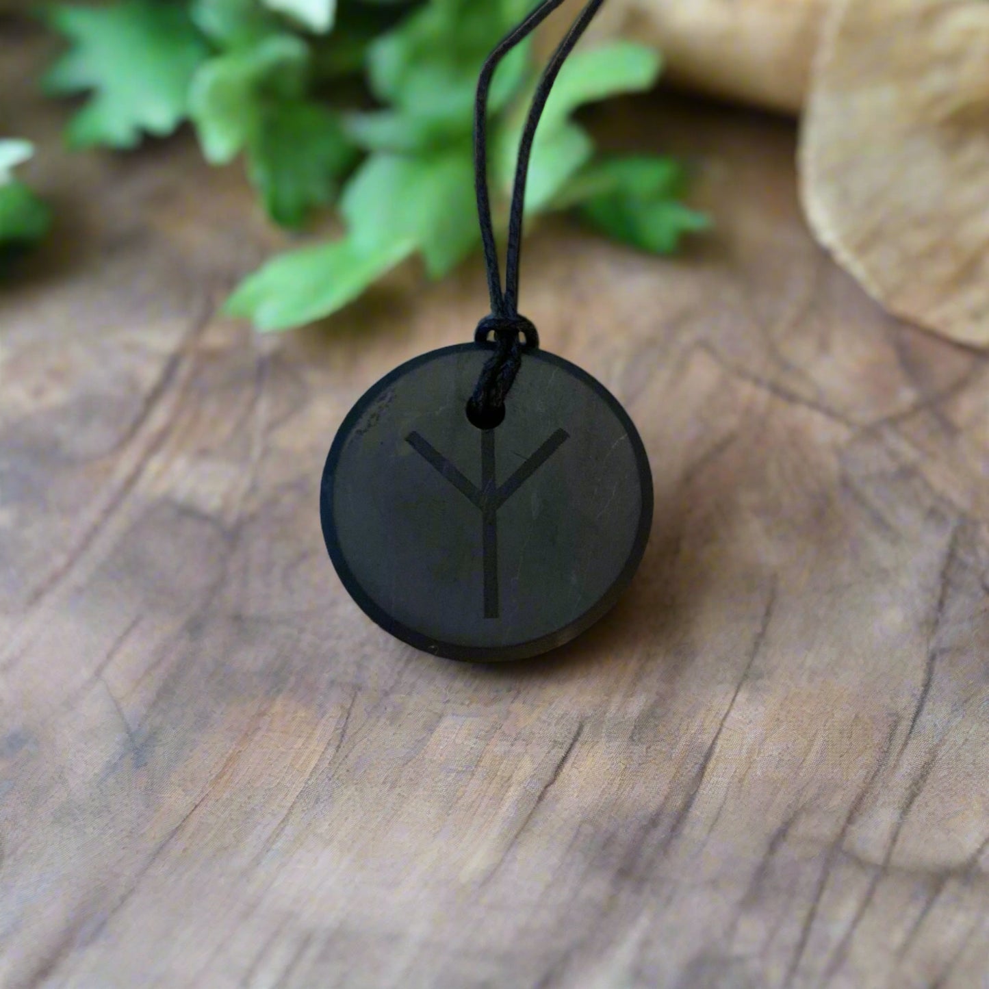 Shungite Pendant with Algiz rune