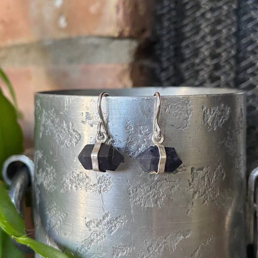 Double Terminated Crystal Earrings - Iolite